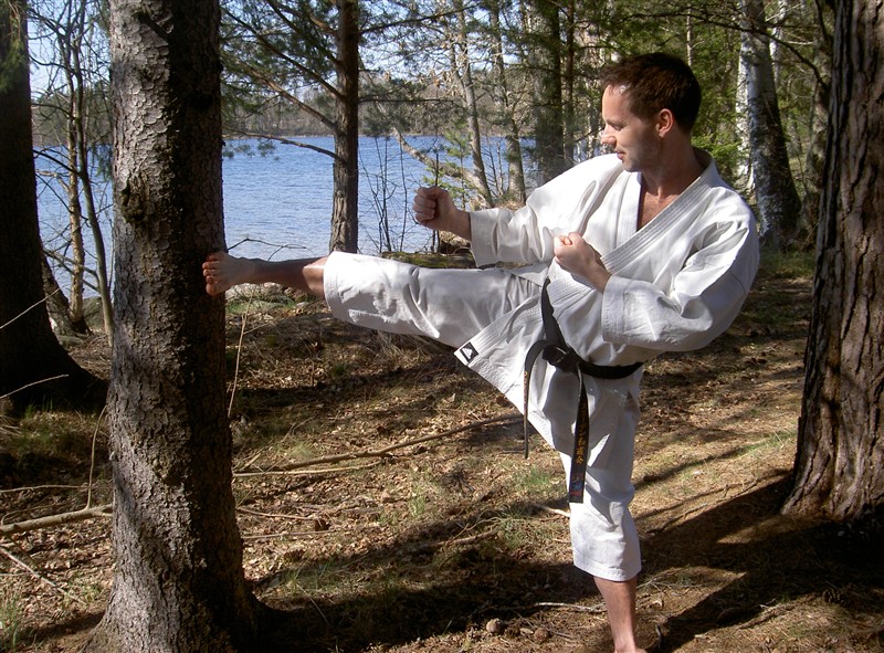 Largen_karate013.JPG